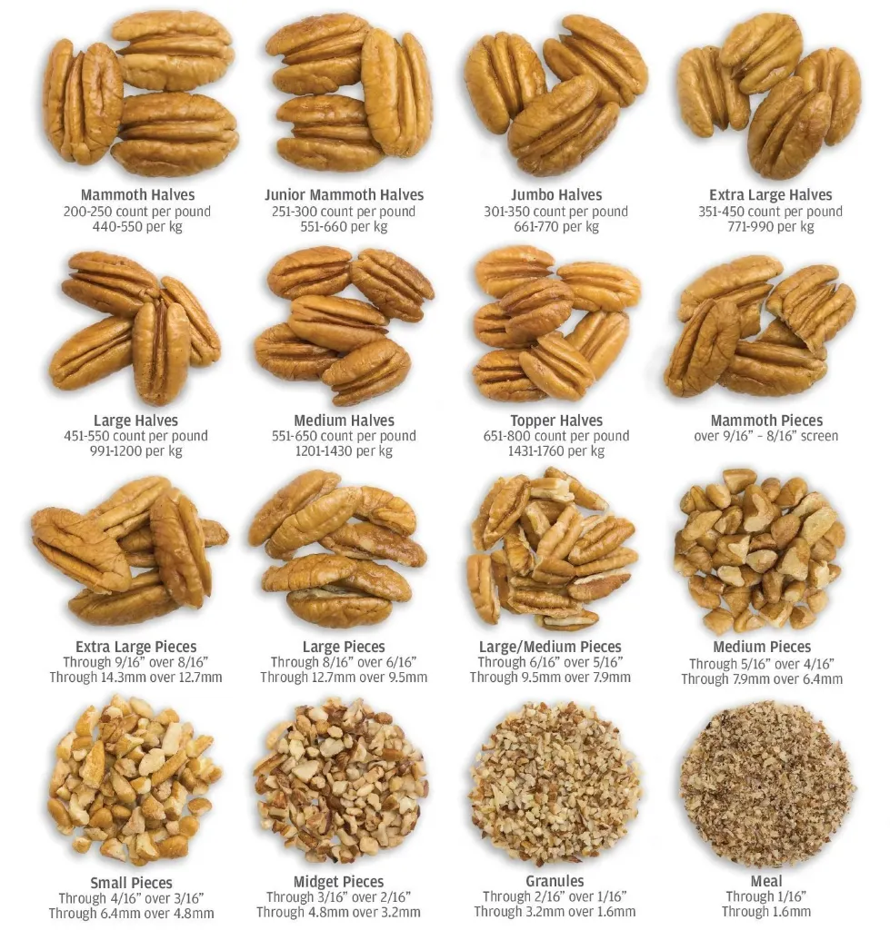 Pecan Size Chart.webp