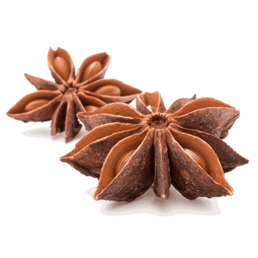 Star Anise 2.webp