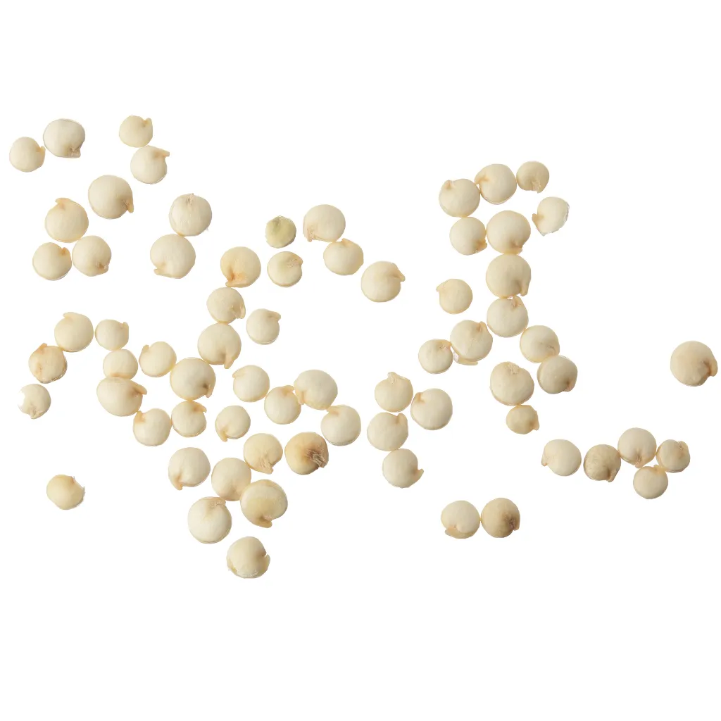 Semilla de Quinoa Blanca 2.webp