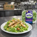 Lechuga Eva Francesa 6pz CTN Gourmet.webp