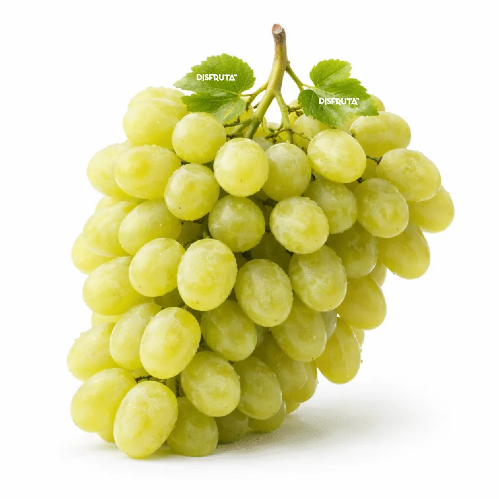 Uva Verde GNX.webp