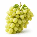 Uva Verde GNX.webp