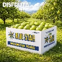 Caja Pera d'Anjou Blue Star ORCH.webp