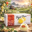 Sand Pear ORCH Disfruta™.webp