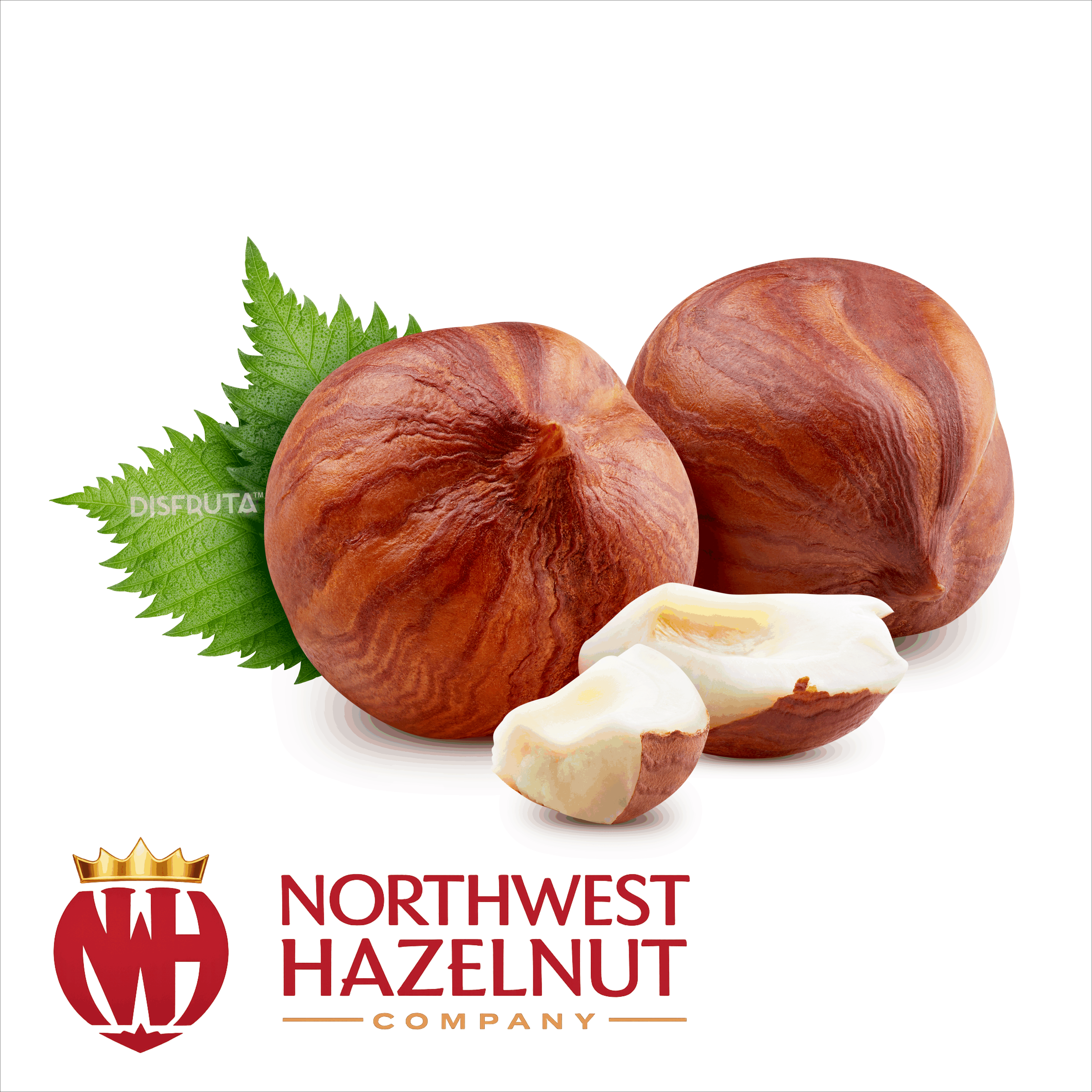NorthWest Hazelnut® ISO WB Disfruta™.gif