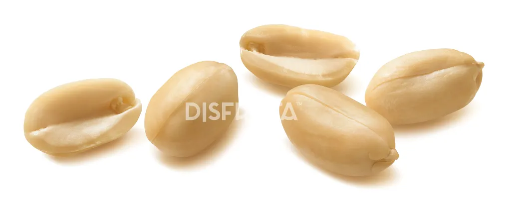 Cacahuate Virginia 1.webp