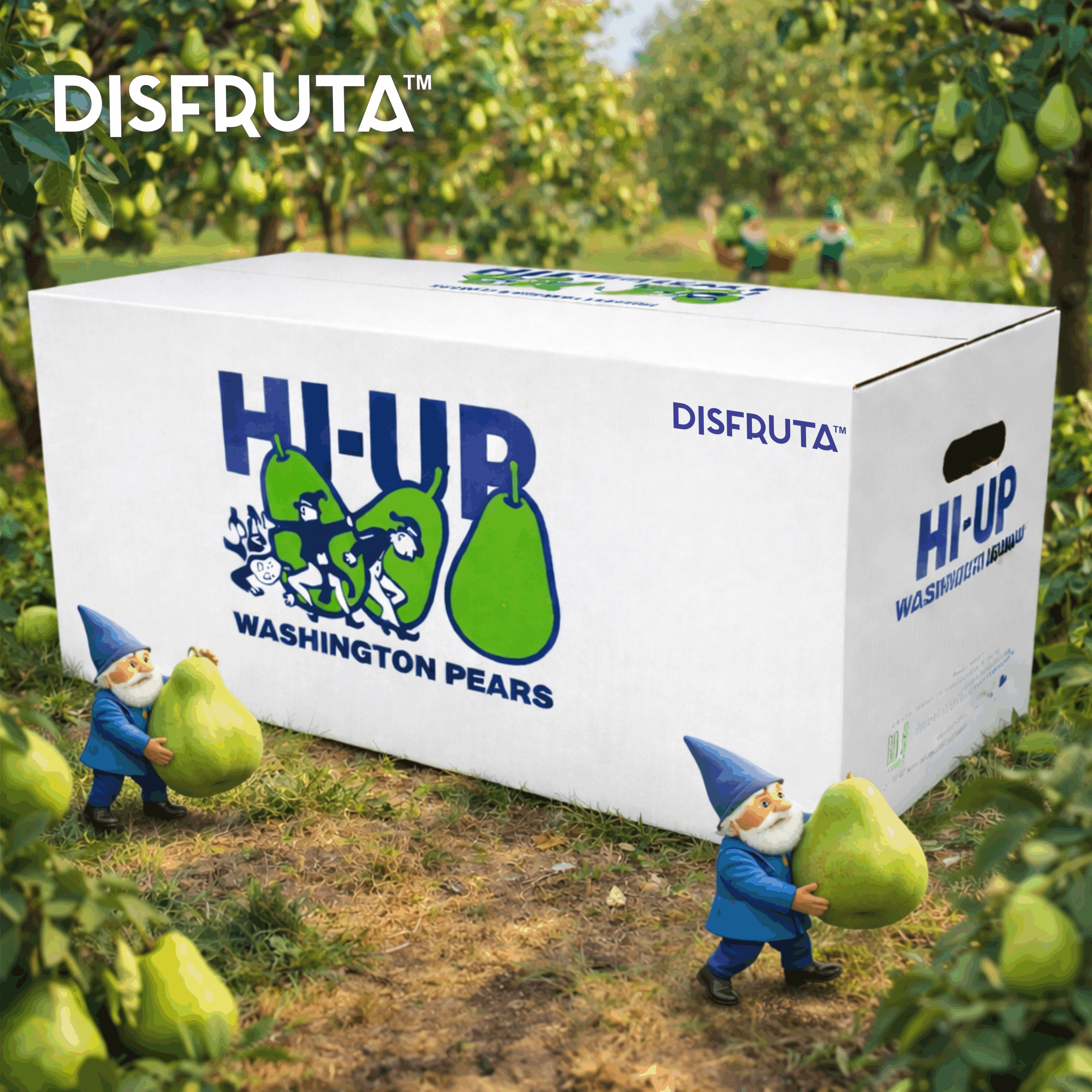 Hi-Up Pears® CTN-BX Disfruta™ ORCH.gif