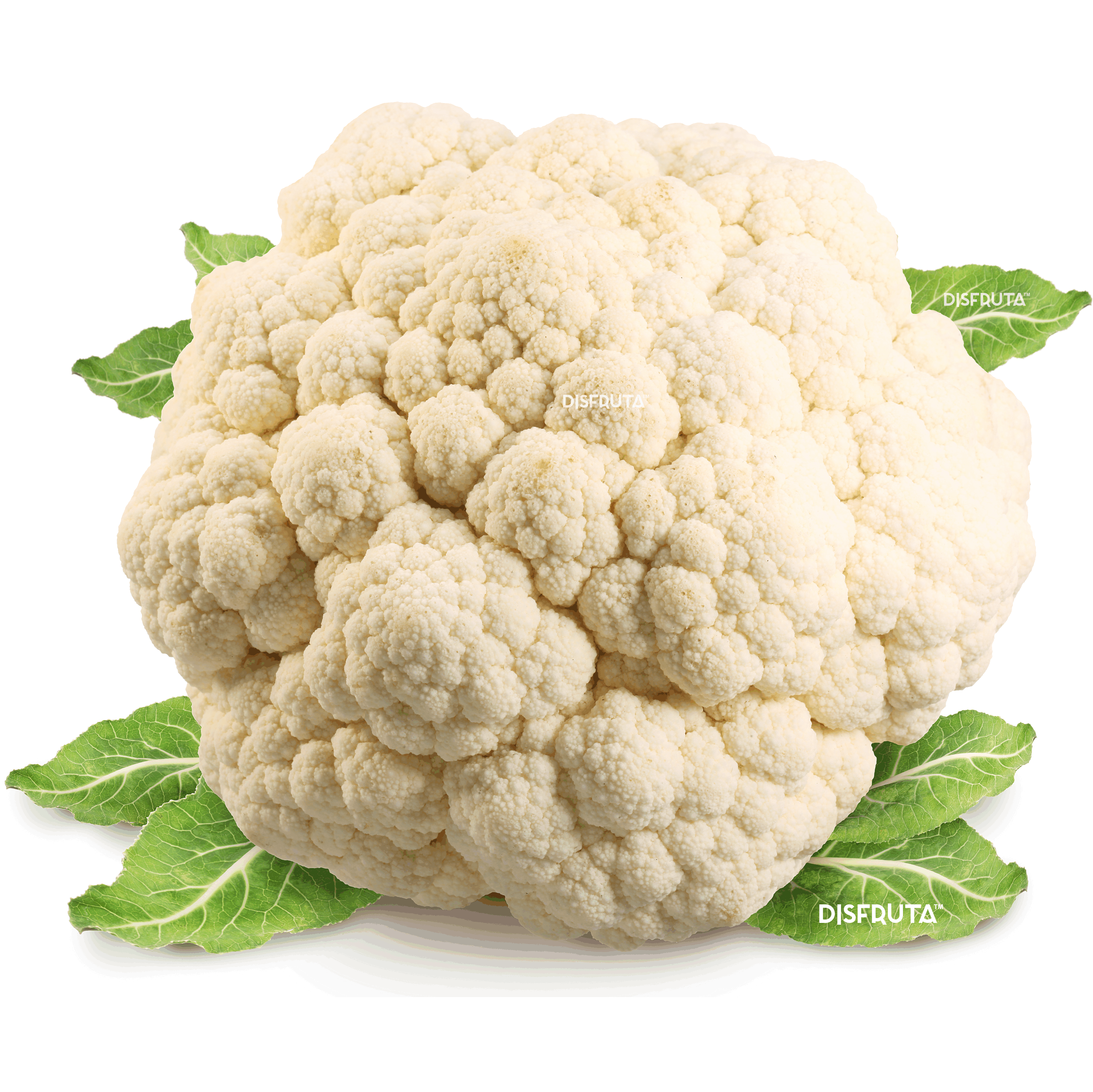 Coliflower ISO Disfruta™.gif