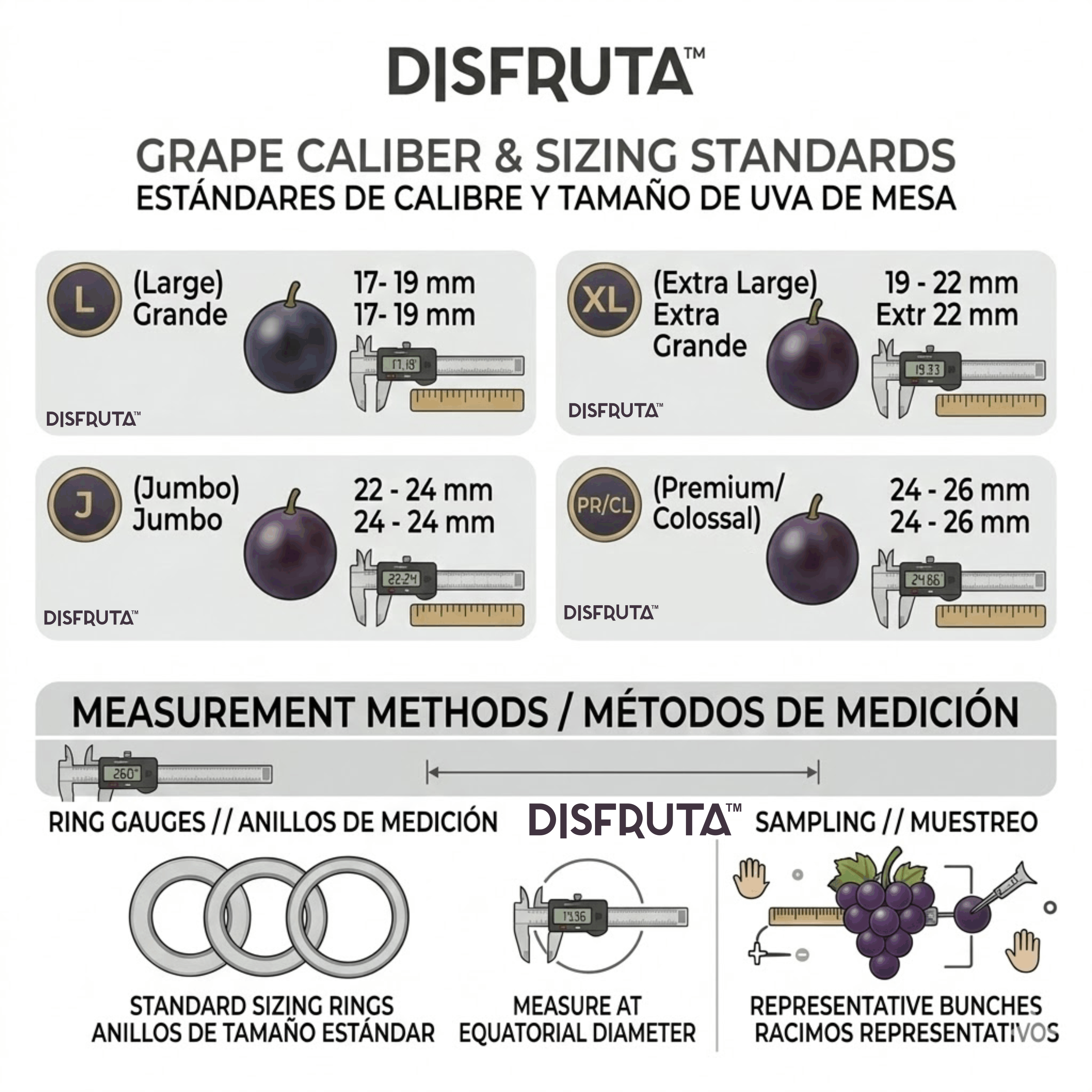 Table Grapes Size Chart Disfruta™.gif