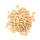 White Pinenut BLK Disfruta™.webp