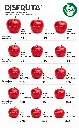 Red Delicious Apple Size Chart Disfruta™.webp
