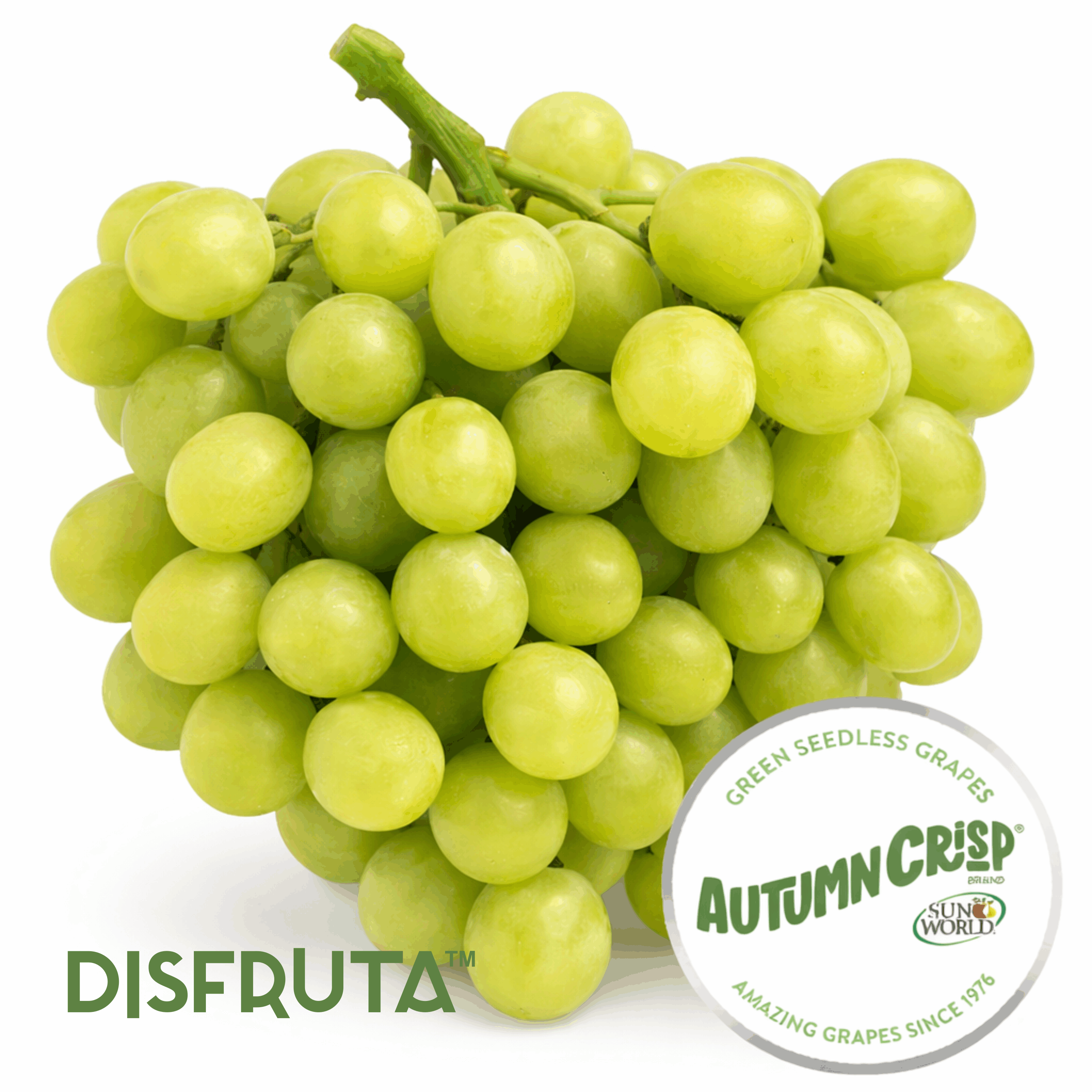 Atumncrisp® Grapes ISO SunWorld® Disfruta™.gif