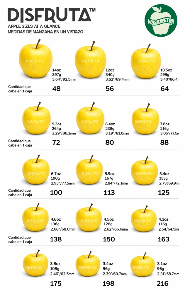 Apple Size Chart Disfruta™.webp