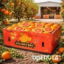 Naranja Cara Cara GOLDEN BEE C-CTN ORC.webp