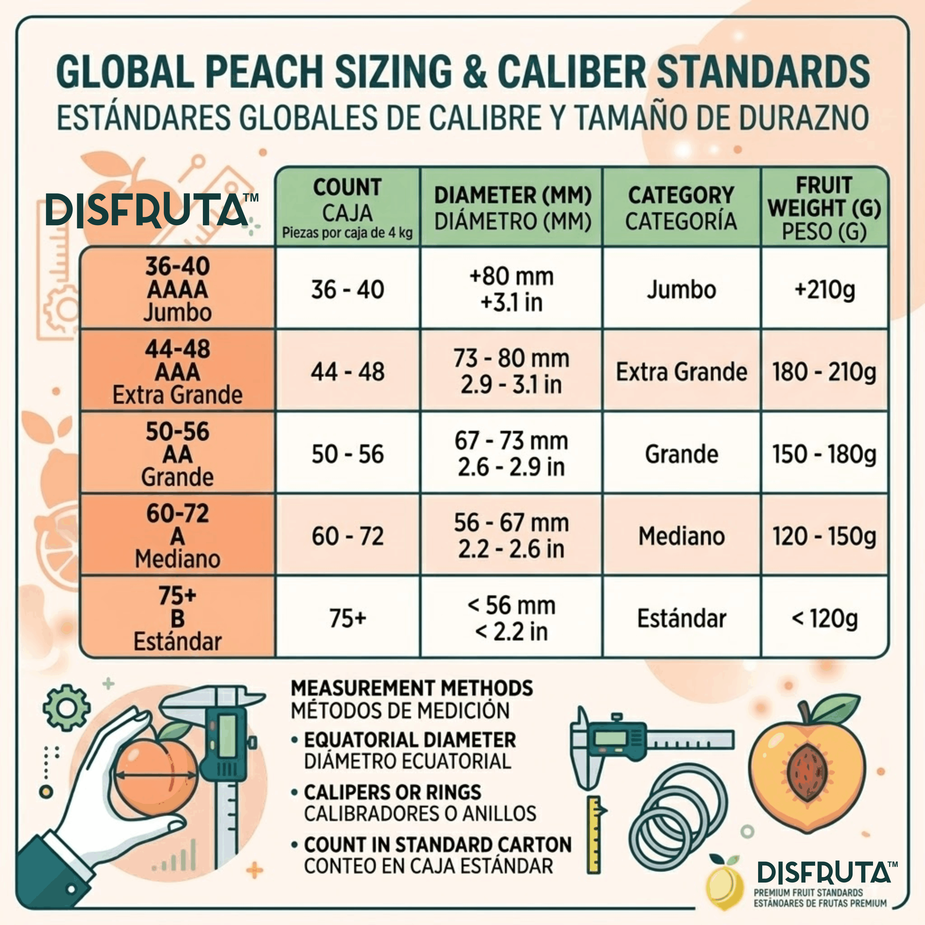 Peaches Chart Size Disfruta™.gif