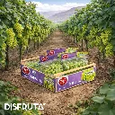 Idol Grapes Disfruta™ ORC.webp
