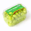 Uva Timpson SH-21 NOVA MUNDO Clamshell.webp