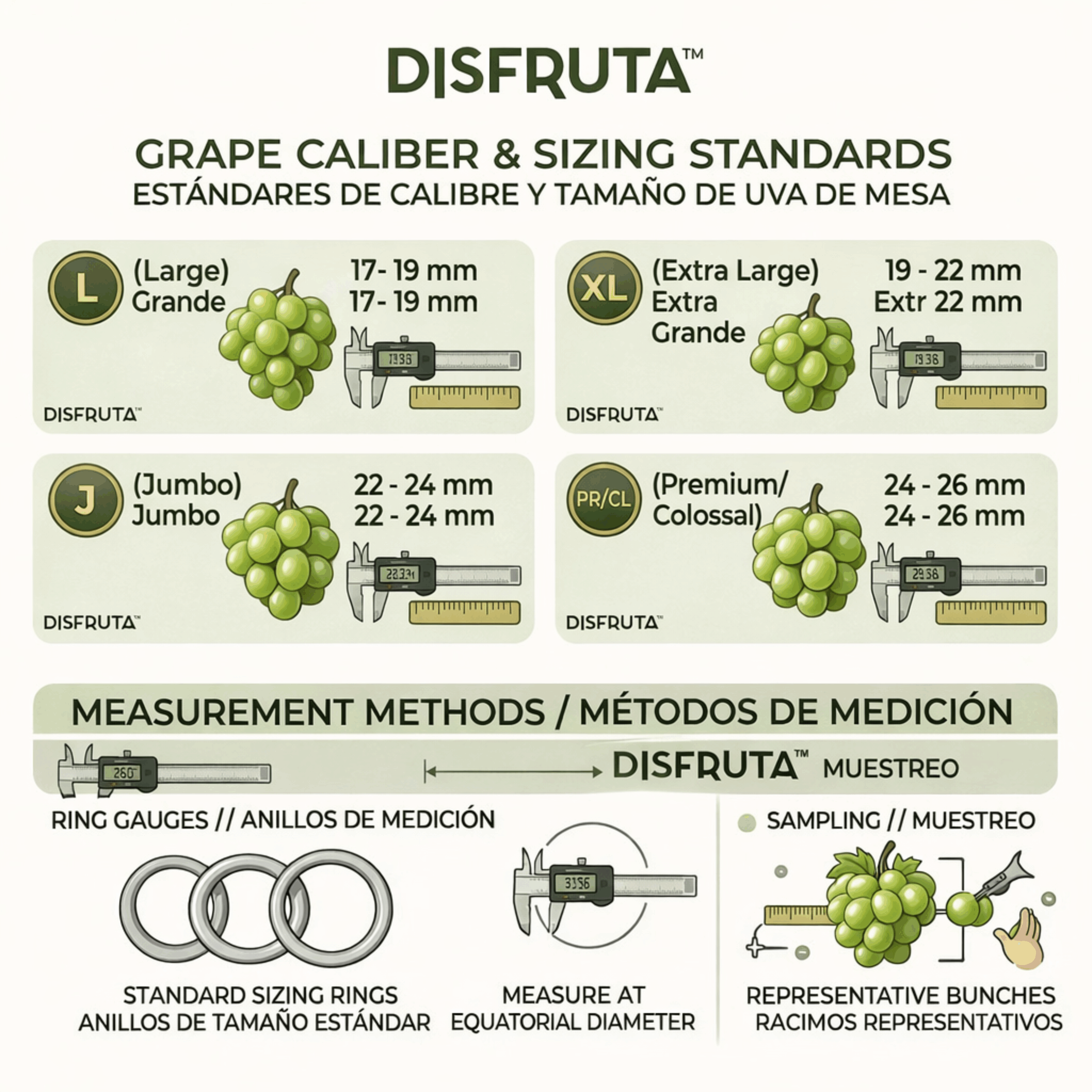 Green Grapes Chart Size Disfruta™.gif