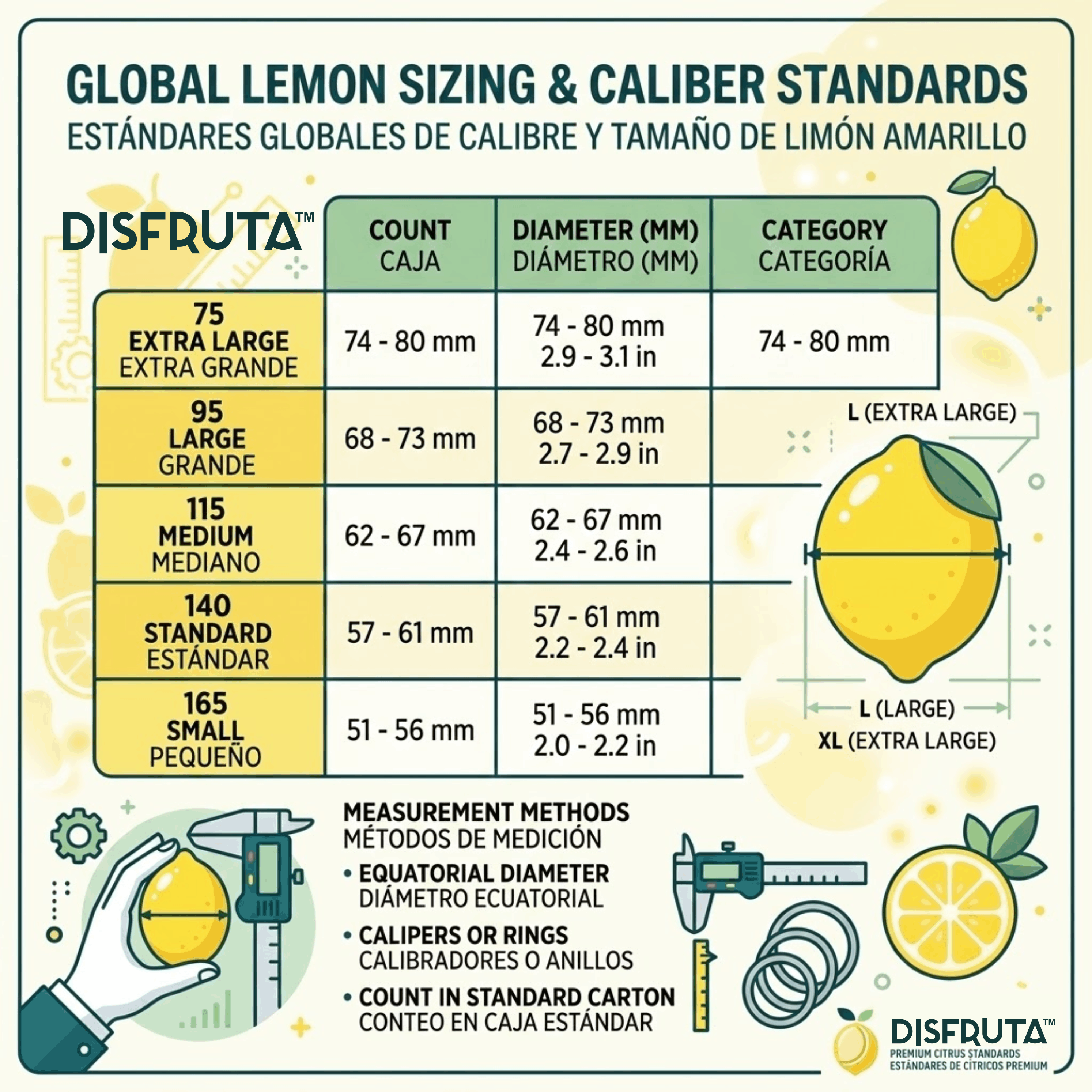 Lemons Chart Size Disfruta™.gif