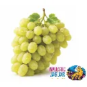 Uva Ivory Majestic Jaguar Sheegene GRL.webp