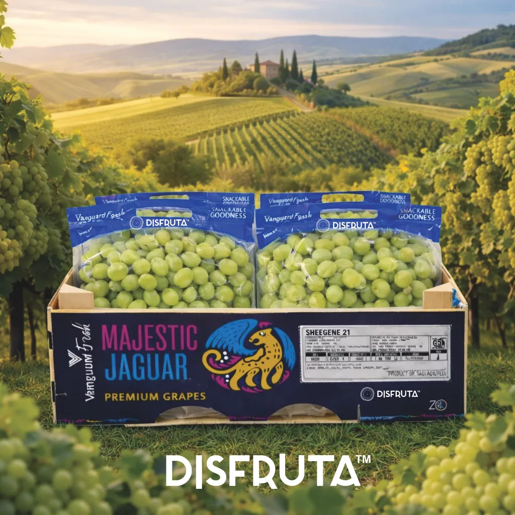 Uva Majestic Jaguar Sheegene 21 WDN-BX.webp