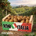 Kiwi Italia BX Disfruta™ ORC.webp