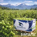 CMI Orchard Granny Smith ORC 1-1.webp