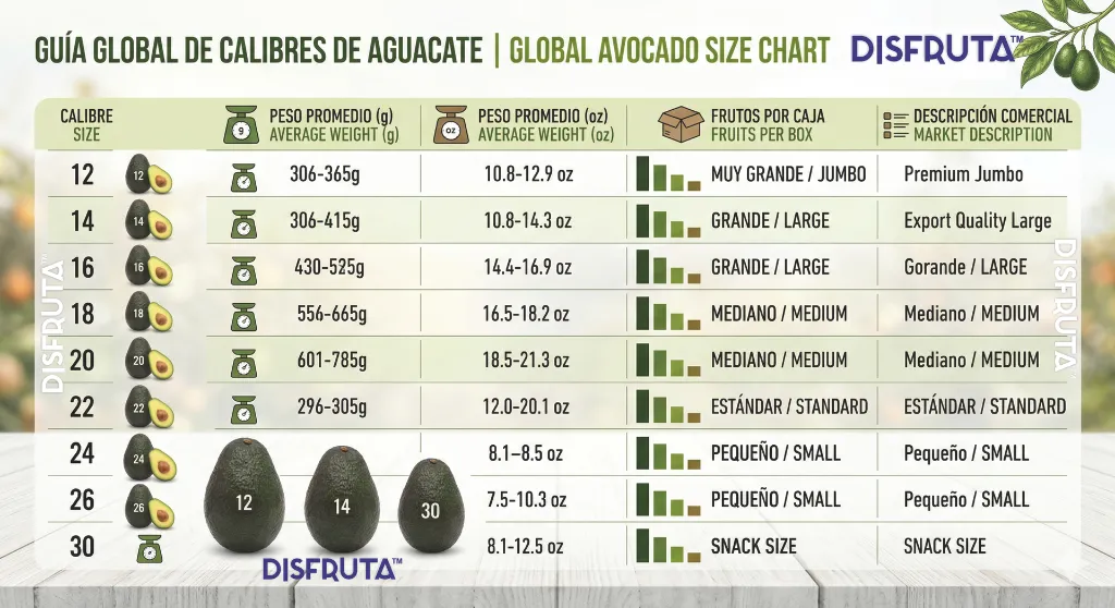 Global Avocado Size Chart Disfruta™.webp