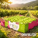Enjoy Grapes ORC Disfruta™.webp