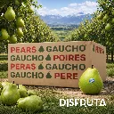 Gaucho Pears CTN BX ORC.webp