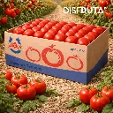 Tomate Bola Mr. Lucky C-CTN ORC 1-1.webp