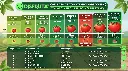 Tomatoe Size Chart Disfruta™.webp