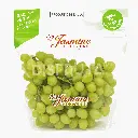 Uva Verde Jasmine Vineyards.webp