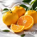Mandarina Primosole Gourmet 1.webp