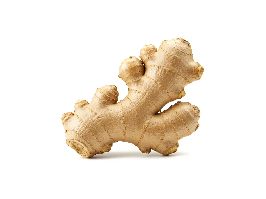 shutterstock_2625651073.webp