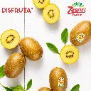 Zespri® Sungold Banner 1-1 Disfruta™.webp