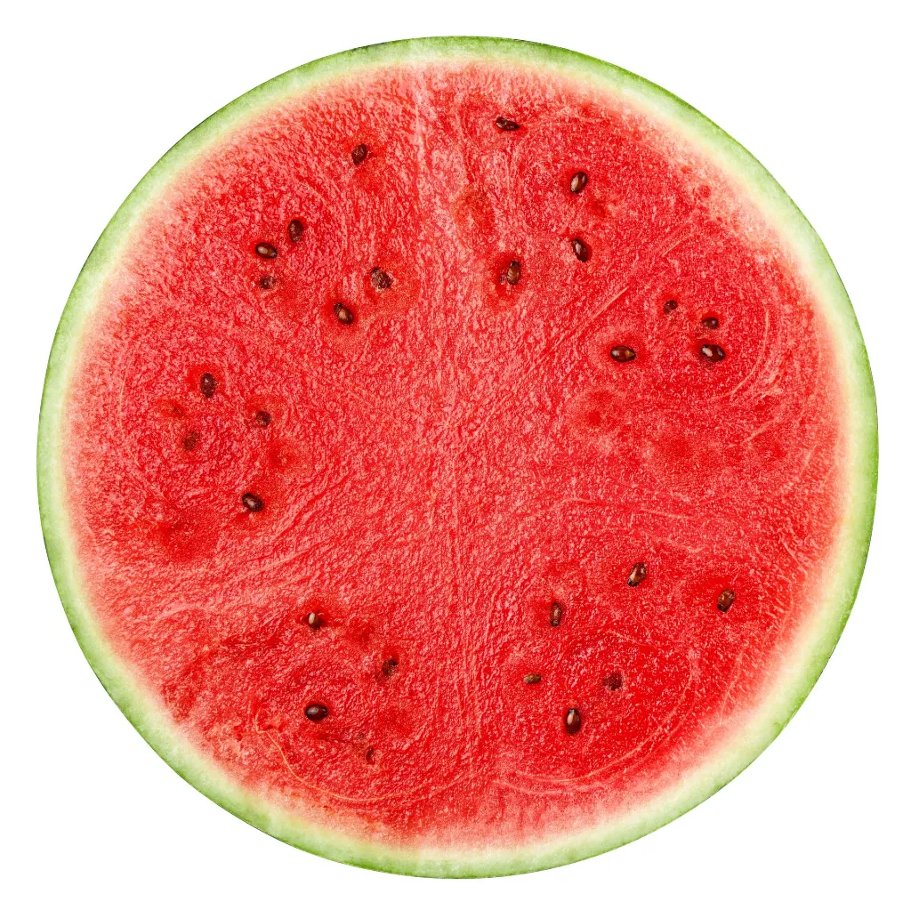 shutterstock_2510439569.webp