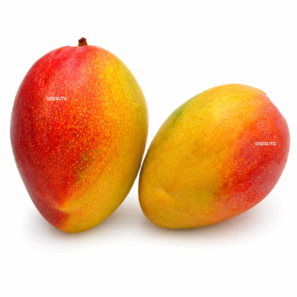 Mango Haden ISO 2.webp