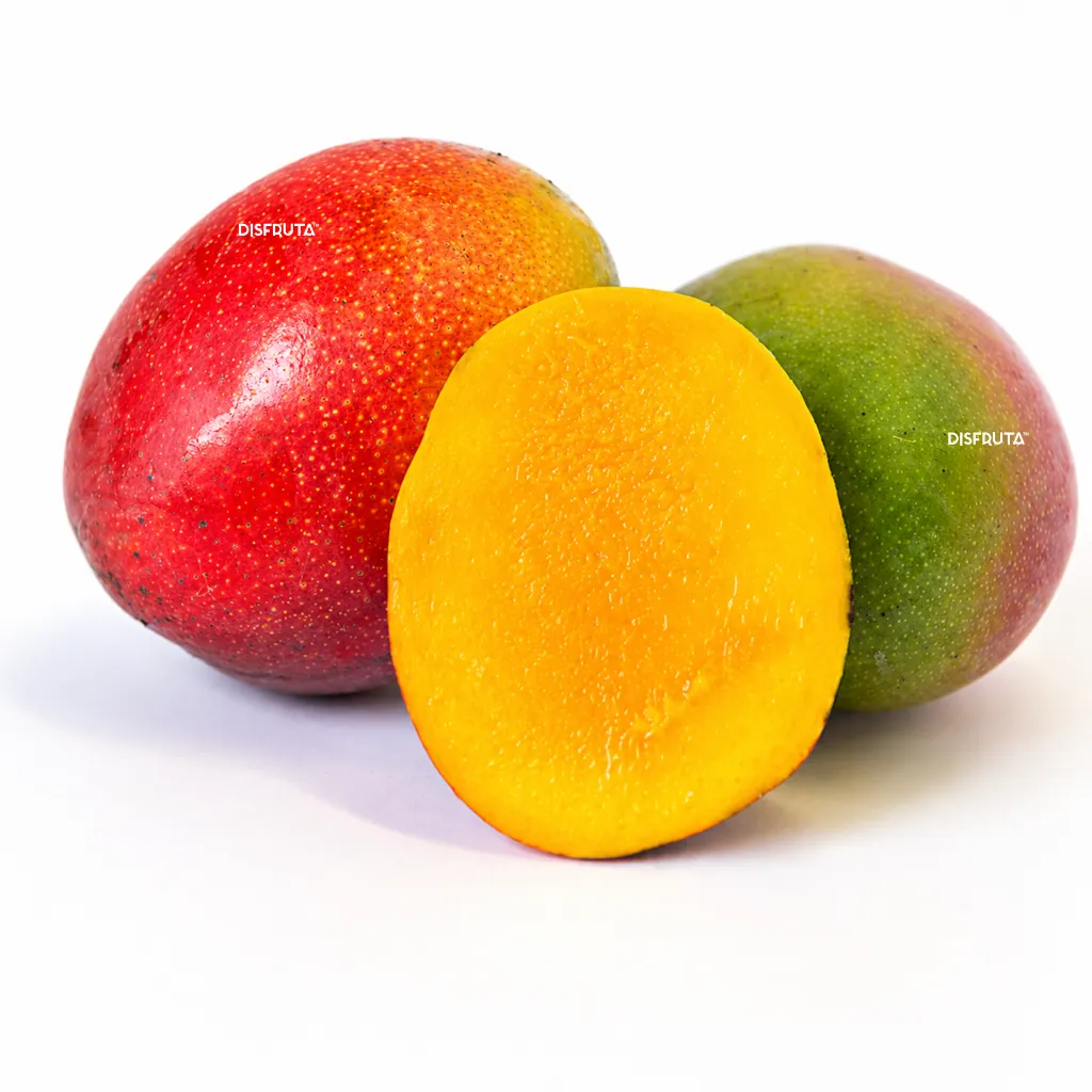 Mango HAden ISO.webp