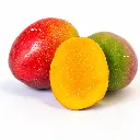 Mango HAden ISO.webp