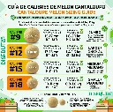 Cantaloupe Chart Sizes Disfruta™.webp