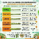 Asparragus Chart Size Disfruta™.webp