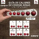 Guía Cerezas Calibre Disfruta™.webp