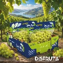 Sweeta Grapes ORC Disfruita™.webp