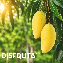 Mango de Manila ORC Disfruta™.webp