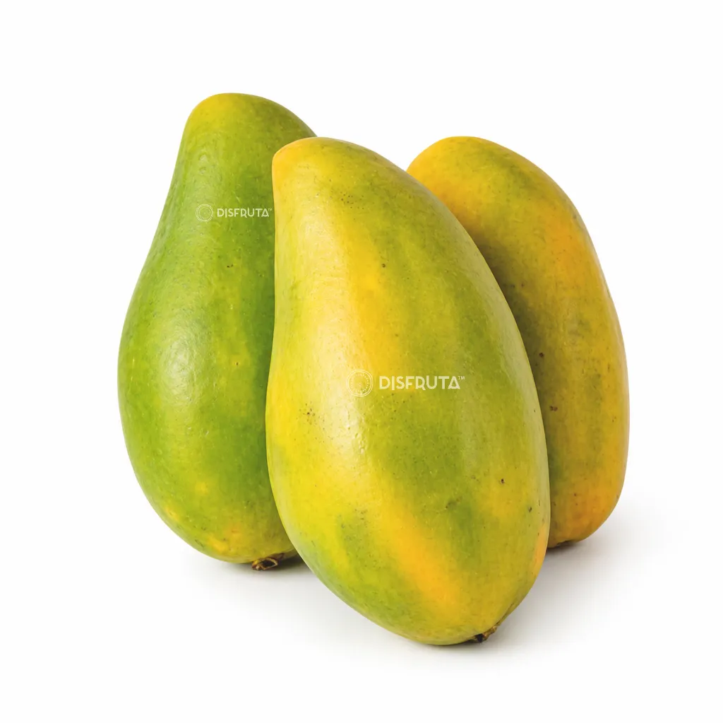 Mango de Manila ISO 2 BLK Disfruta™.webp