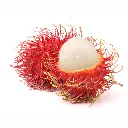 Rambutan ISO.webp