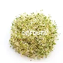 Alfalfa Sprouts Germinado Disfruta™ ISO.webp