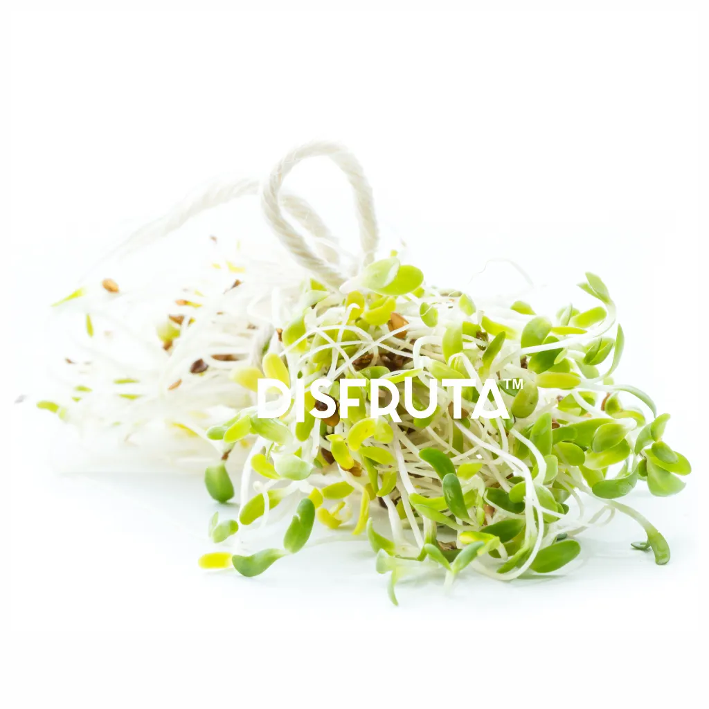 Alfalfa Sprouts Germinado Disfruta™ ISO 2.webp