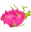 Dragon Fruit Purple Haze ISO 1.webp